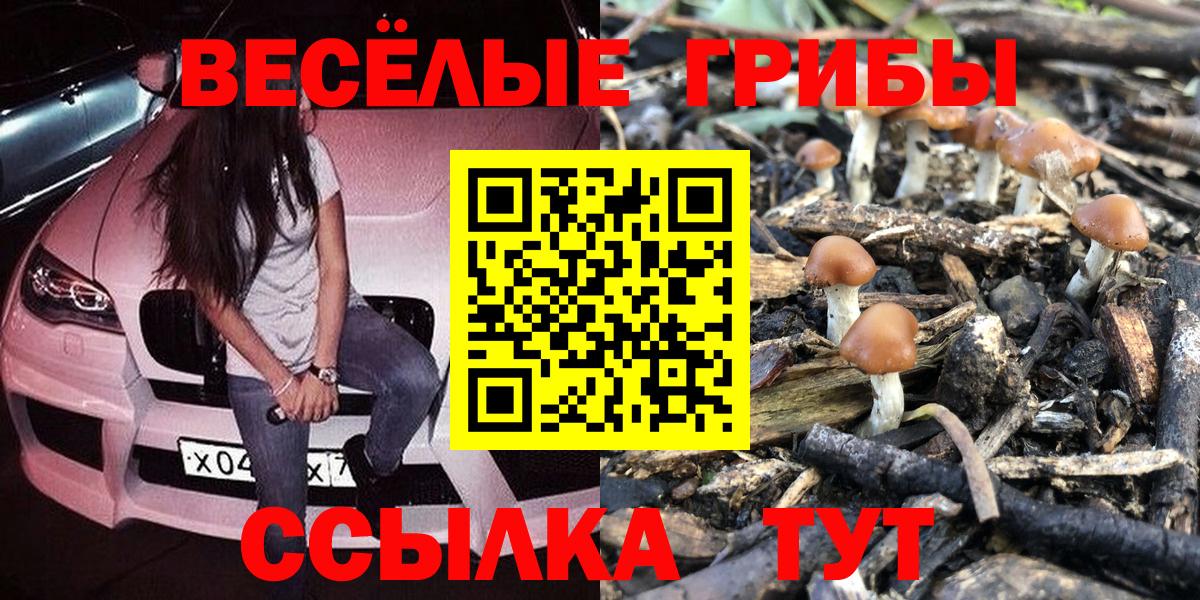 Псилоцибиновые грибы MAGIC MUSHROOMS Углич