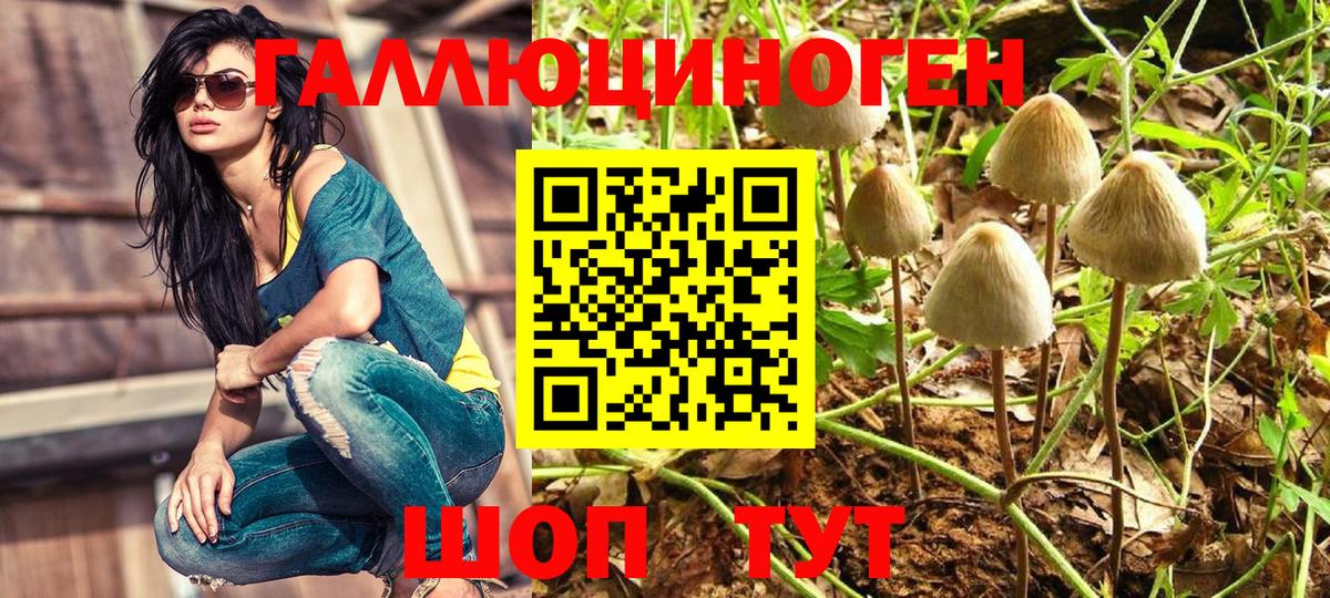 Галлюциногенные грибы прущие грибы  Вход с VPN  Углич  Галлюциногенные грибы Magic Shrooms 